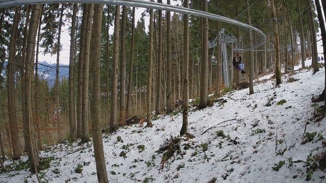 2021 01 23 13 export смотреть онлайн