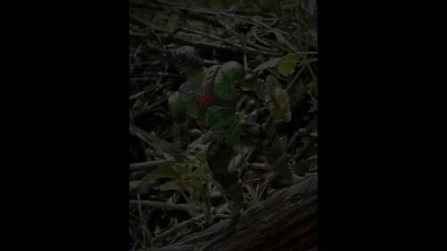 Masters Of The Universe Slime Pit He-Man смотреть онлайн