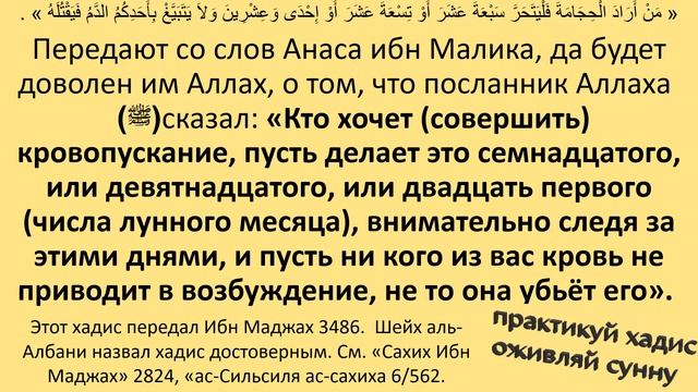 В поисках барака #5. Хиджама на пустой желудок. смотреть онлайн