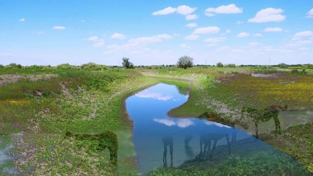 Астраханский фотоколлаж смотреть онлайн