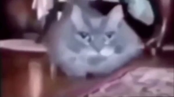 Такси 15 62|50 мин.