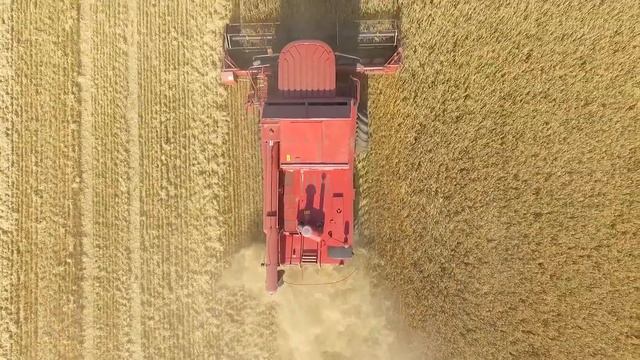 Case IH 2188 Combining смотреть онлайн