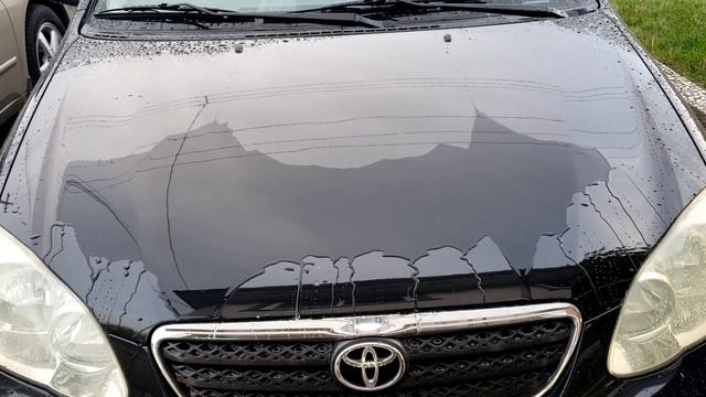 TURTLE WAX CERAMIC COATING VS MOTHERS CERAMIC COATING VS MEGUIARS CERAMIC WAX | 2 WEEKS LATER