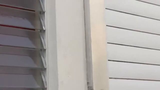 Rihanna Takes Oprah on a Tour of Her Childhood Home Oprah's Next Chapter Oprah Winfrey Network смотреть онлайн