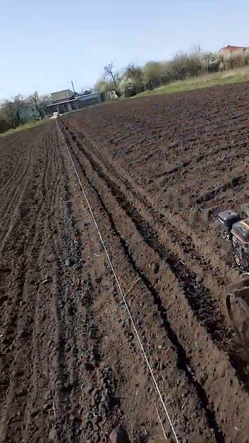 Мотоблок Фаворит с картофелесажалкой смотреть онлайн