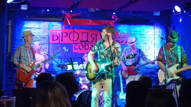 Крошка (Дорадо Бэнд). Новосибирск, Бродячая собака, 18.07.2024 смотреть онлайн