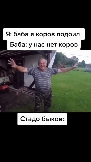 #быки #коровы #смешно #приколы #прикол #мем #мемы #мем2023 #мемы2023 #юмор #хаха смотреть онлайн