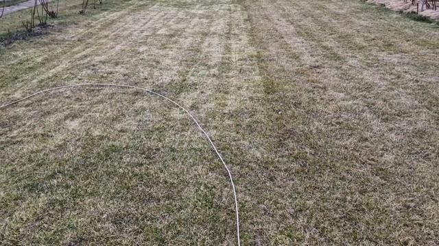 #2 Часть. Весенний уход за газоном. Скарификация. смотреть онлайн