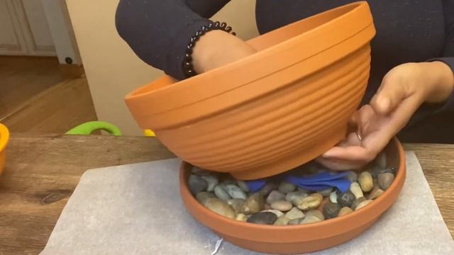 Self watering fogging mini tropical forest plants and moss garden arrangement in terracotta pot смотреть онлайн