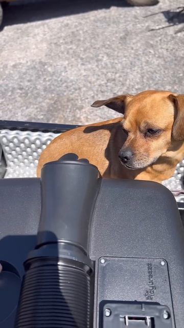 IcyBreeze Portable AC for Camping, Pets, Sports, or anything you do in the heat! Stay Cool! смотреть онлайн