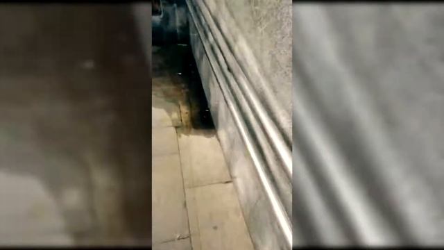 Москва Реальные будни 48 смотреть онлайн
