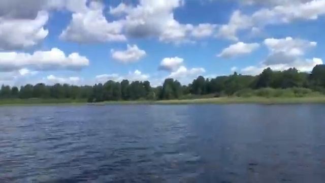 Лето сипро смотреть онлайн