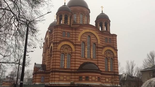 СПИЧЕК НЕТ✅ШАМПАНСКОГО НЕТ✅БОРЮСЬ С МОШКАМИ смотреть онлайн