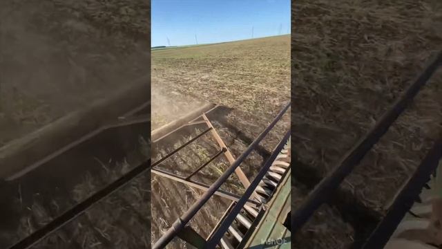 Начали сеять кормовые (суданку) #сельхозтехника #сельскоехозяйство 16.06.2023 смотреть онлайн