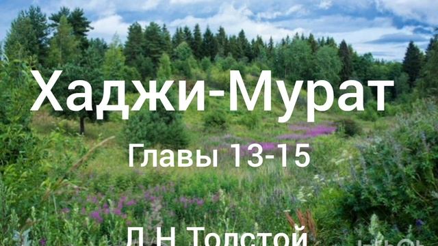 Л.Н.Толстой. Хаджи-Мурат. Главы 13-15. смотреть онлайн