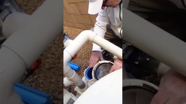 Replace Swimming Pool Pump Lid Gasket