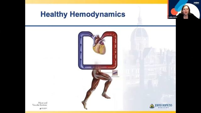 MOH Talk: CVI, DVT and Nausea in pregnancy: What to expect and how to deal with it? смотреть онлайн