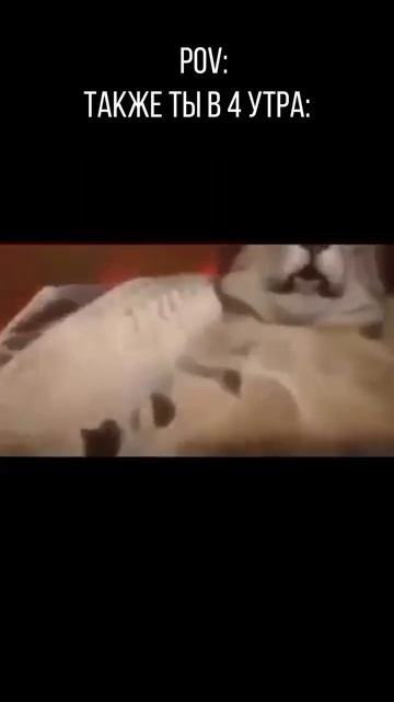 рейд в 4 утра пов: | twitch: sayderfamily #rust #раст смотреть онлайн