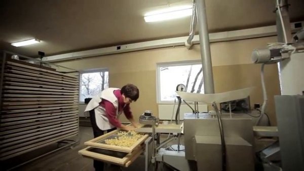 MAKARON ISHLAB CHIQARISH BIZNESI | OILAVIY BIZNES | NEW BUSINESS MACHINES | НОВЫЕ БИЗНЕС ИДЕИ