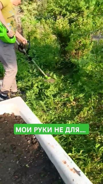 #Ребёнок #снимал 🤗 Очень хороший триммер, на #аккумуляторе! 👍👍👍 #огород #дети #урожай #триммер #лет смотреть онлайн