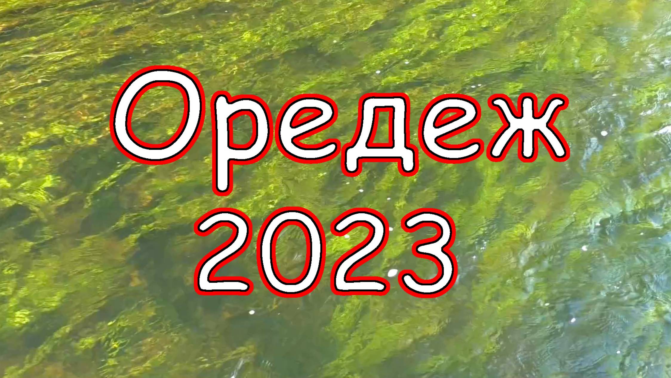 2023 Оредеж