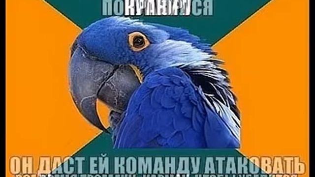 Попугай-Параноик Episode №2 смотреть онлайн