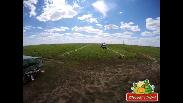 Погрузка арбуза Таймлапс GoPro 08 08 2015 смотреть онлайн