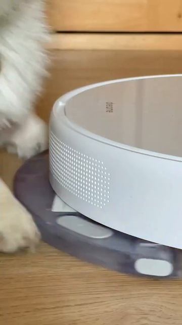 Новый робот от Бентли помогает собаке и людям😱😱😱😱 смотреть онлайн