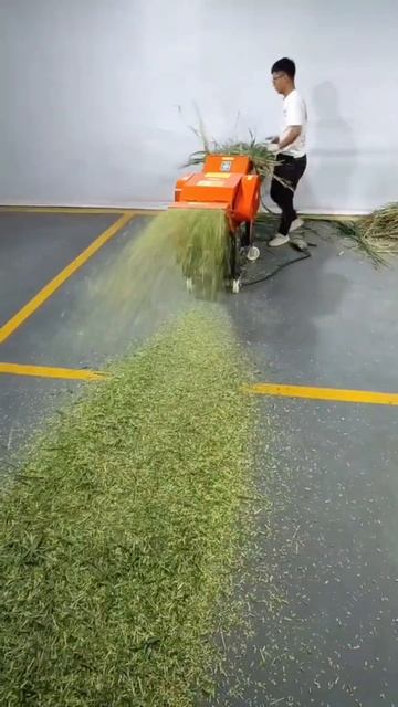 corn stalk silage cutter machine for Ghana/Senegal/Mali market смотреть онлайн