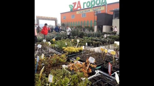 Магазин Zaгород Уссурийск смотреть онлайн