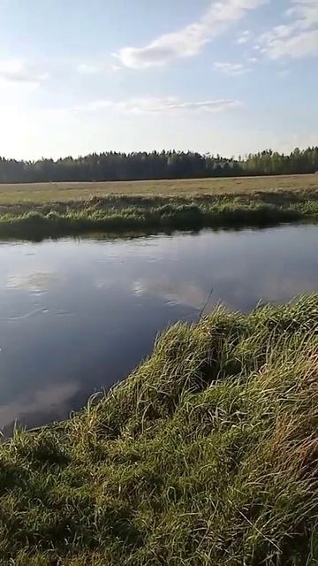 Особое болото смотреть онлайн