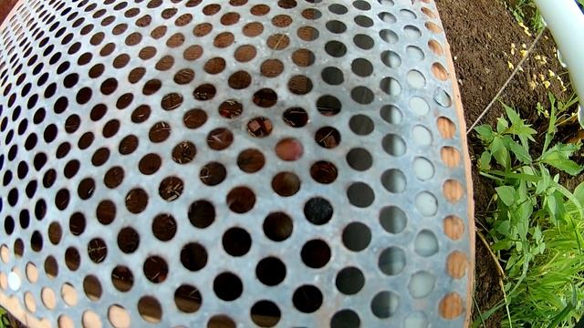 Саморобна щуроловка в дії. Знову зловили хом'яка.Самодельная крысоловка. Homemade rat trap смотреть онлайн