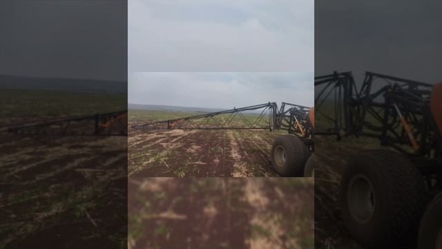 Не внимателтность или разгельдяйство. смотреть онлайн