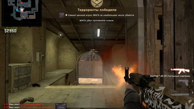 попытка №2 показать свой скил смотреть онлайн