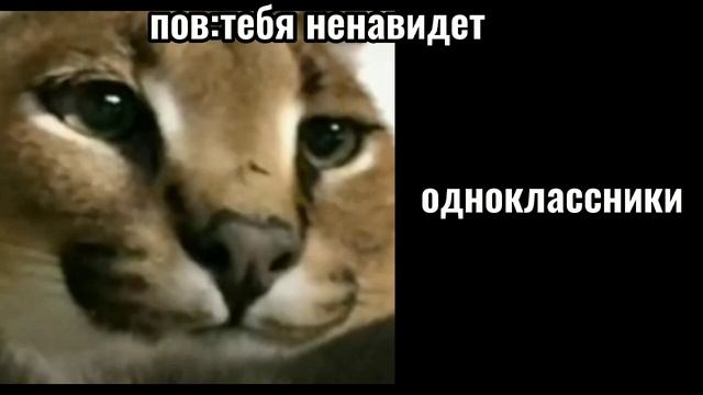 пов тебя ненавидет смотреть онлайн