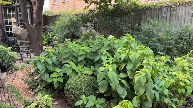 Before and After Fall Garden…My Before! смотреть онлайн