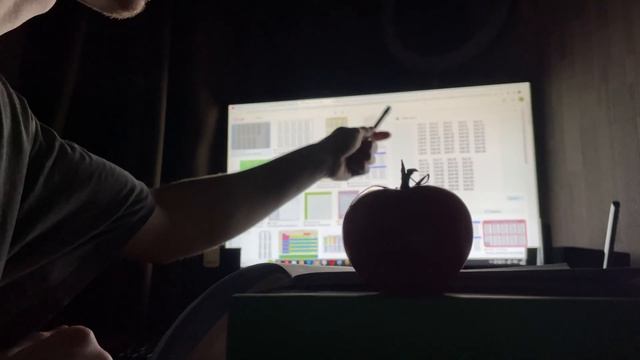 Пытаюсь обучит помидор русскому языку в час ночи|4K ULTRA смотреть онлайн