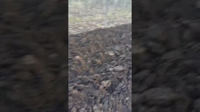 20161126 1603381 смотреть онлайн