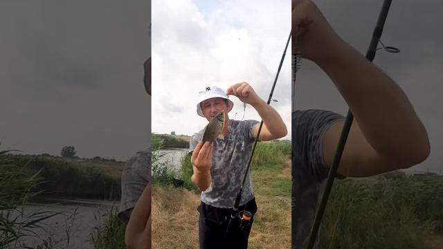 Карась на диком водоёме. смотреть онлайн