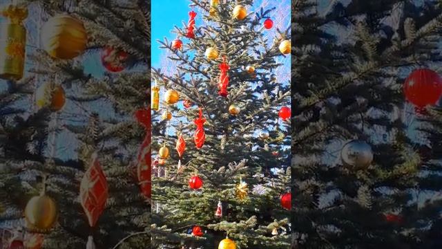 Петропавловский комплекс 07.01.21 Ессентуки смотреть онлайн