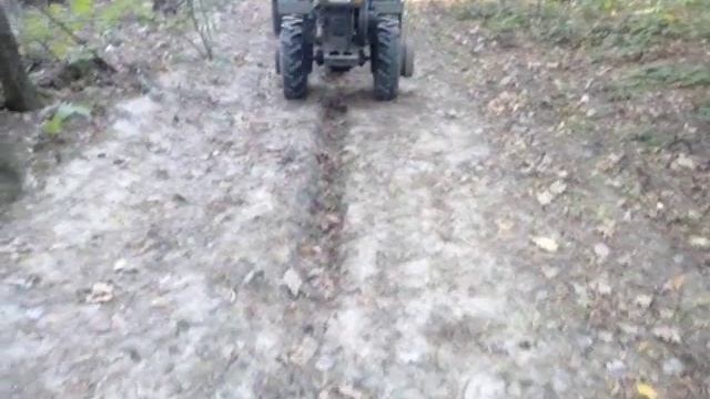 Заготовка дров мотоблоком ZuBR-79 ...