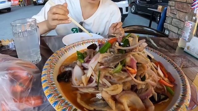 夫妻俩坐整天飞机终于到新疆，赶紧去宠物店接上小咖啡，连夜直奔吐鲁番【868房车旅行】