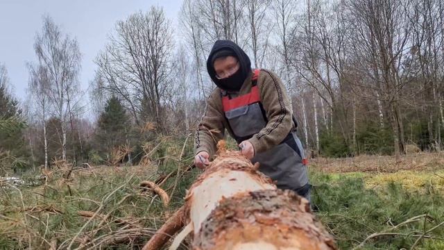 Готовимся к строительству новой теплицы