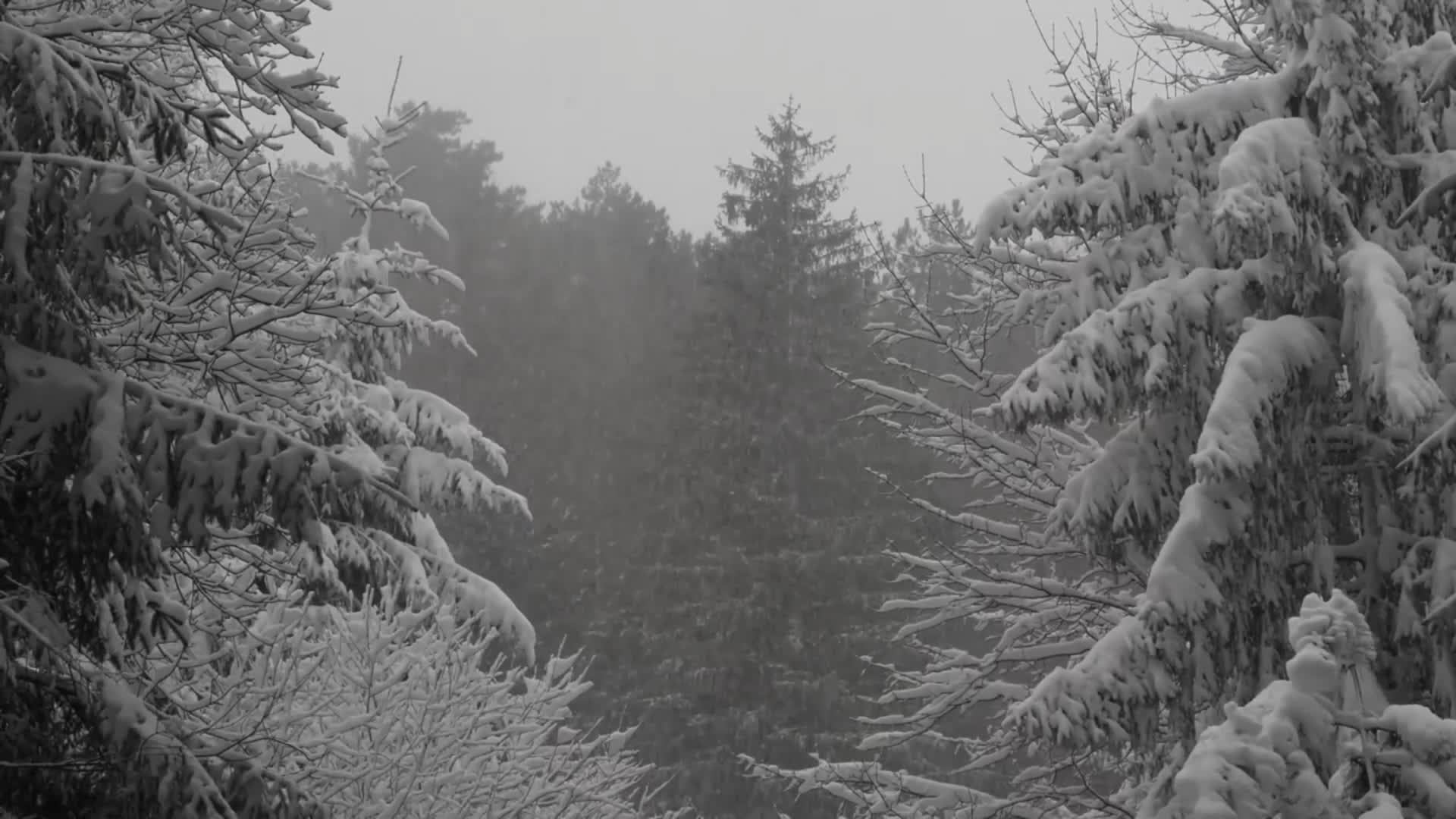 "Terminator: Dark fate - def." / попытка.6 / №1 / без пауз и сохранений смотреть онлайн