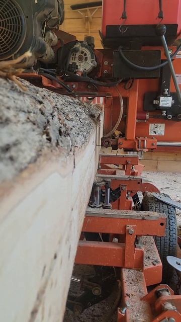 Tension in Huge White Oak log Subscribe to see more.#diy #woodworking #sawmill #edger #woodmizer смотреть онлайн