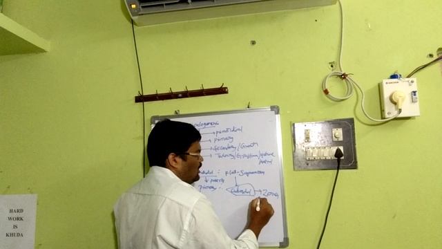 Developmental Biology II : Oogenesis and Folliculogenesis (Part 1): 75th lesson смотреть онлайн