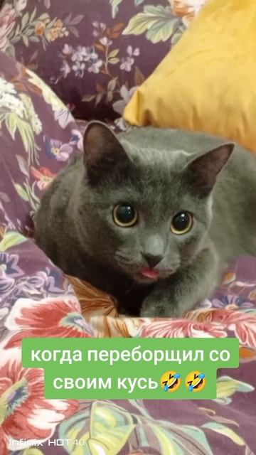 Позитивчик