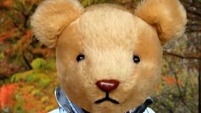 BABY KOALA STORY PART 2 смотреть онлайн
