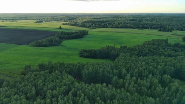 Родные просторы с высоты птичьего полета смотреть онлайн