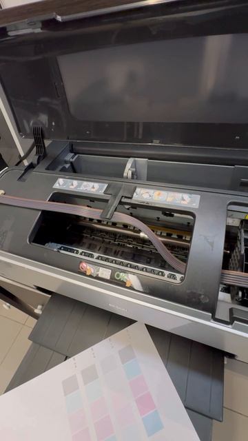 Video-output-D9A4BCA8-069B-418F-A783-6895BBBD0A84